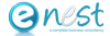 Enest Services